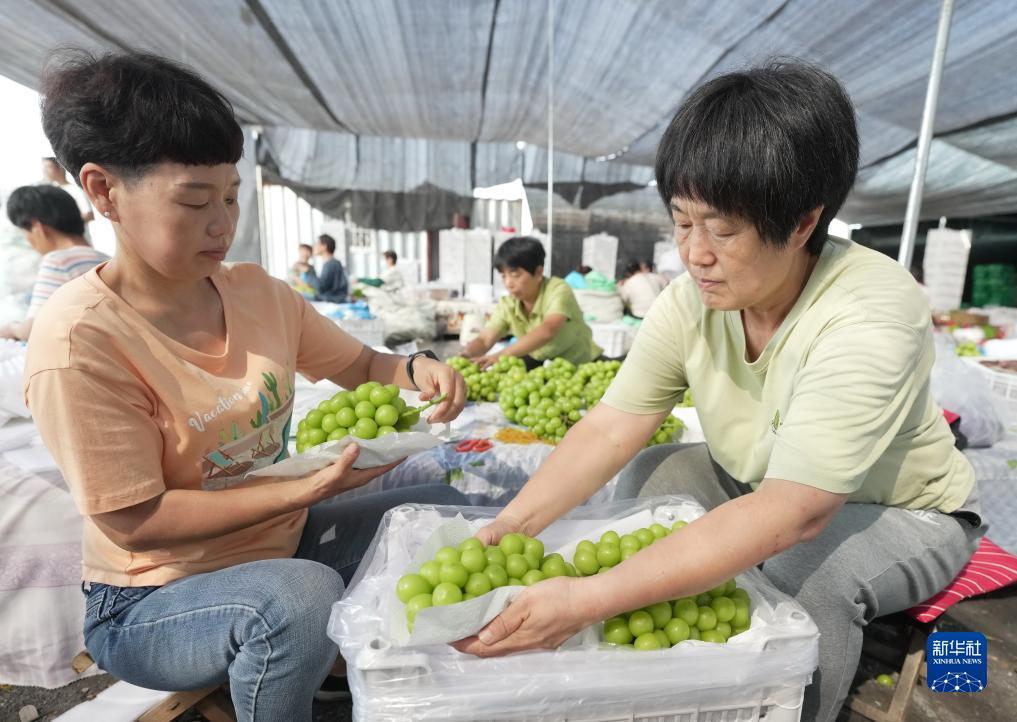 bbin游戏下载